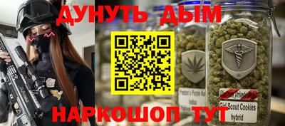 мдпв Заводоуковск