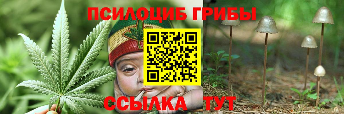 Галлюциногенные грибы ЛСД Луга